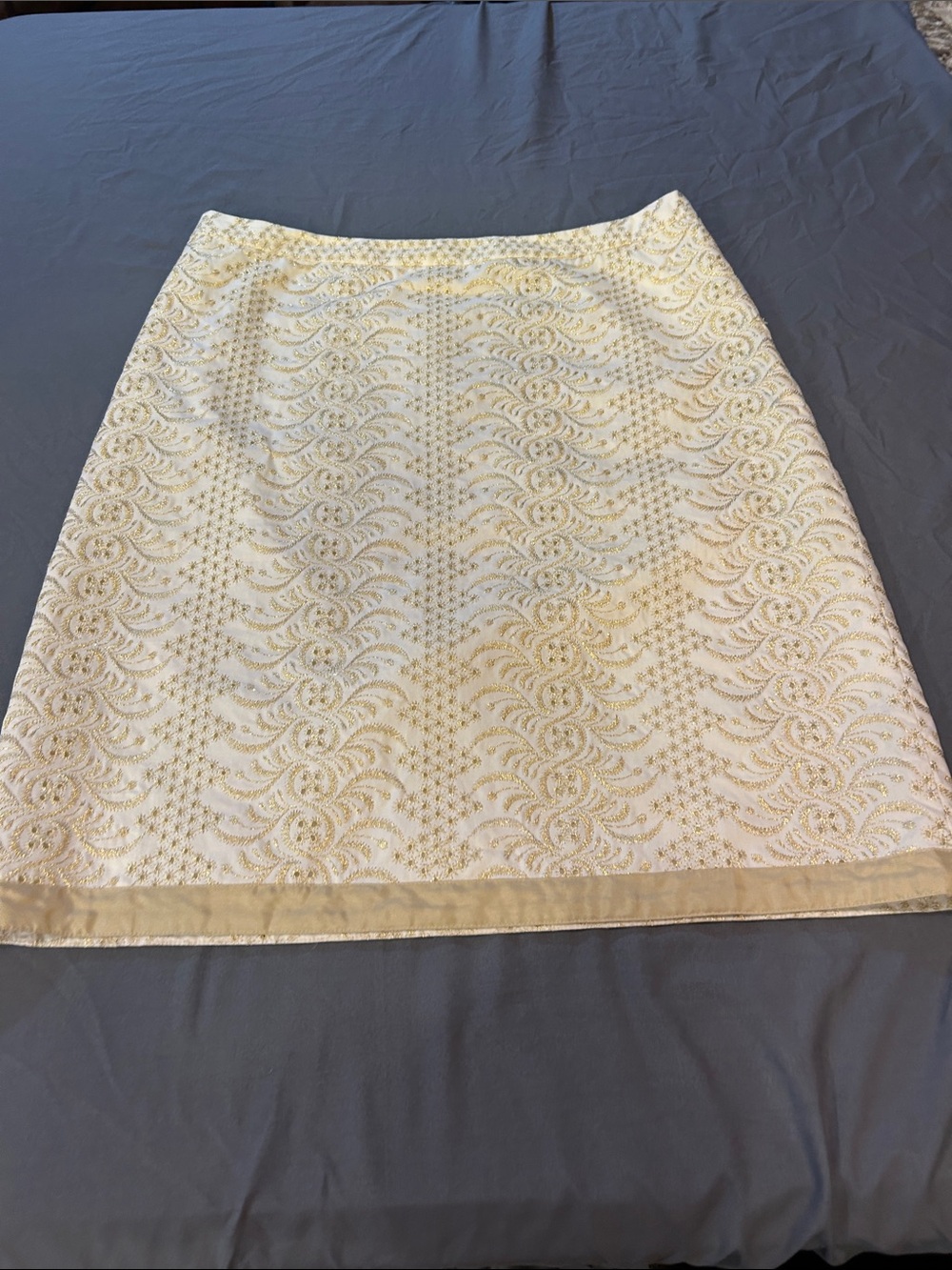 Women’s Banana Republic Cream Skirt with Gold Lace Embroidery